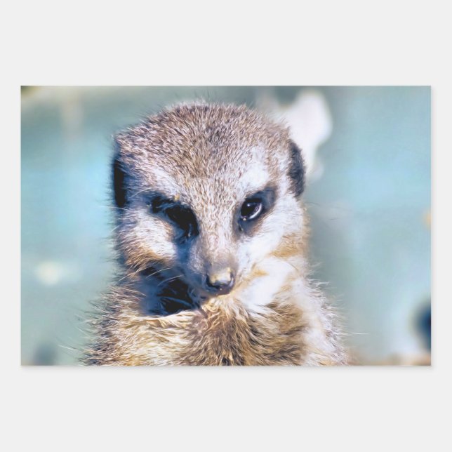 FEUILLE DE PAPIER CADEAU CUTE MEERKAT (Devant)