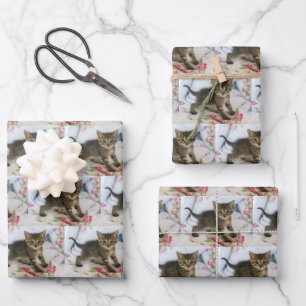 Feuille De Papier Cadeau Cute Tabby Kitten À L'Air Surpris Motif