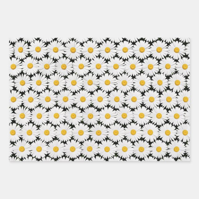 Feuille De Papier Cadeau Daisers (Devant)