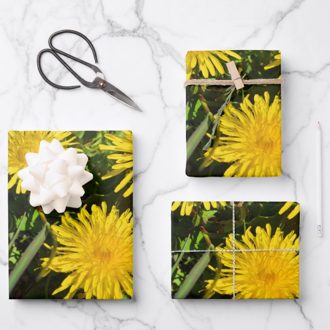 Feuille De Papier Cadeau Dandelion Flower Trio (Recto)