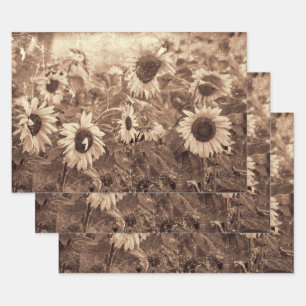 Feuille De Papier Cadeau Découpage de texture de sépia floral de tournesol 