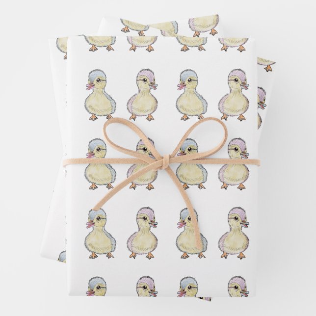 Feuille De Papier Cadeau Deux Ducks  (En situation)