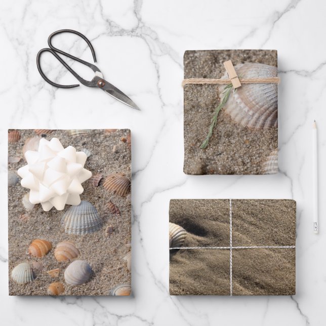 Feuille De Papier Cadeau Différentes photos de coquilles de mer (Recto)