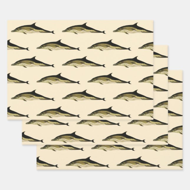 Feuille De Papier Cadeau Dolphin Delphinus Delphis, Mammifères marins Vinta (Lot)