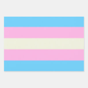 Feuille De Papier Cadeau Drapeau de la Fierté transgenre de Fallen