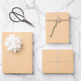 Feuille De Papier Cadeau Elégante pêche pastel Minimaliste et chic