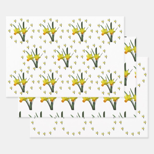 Feuille De Papier Cadeau Enveloppe cadeau - Fleurs de jonquilles X 3 (Lot)