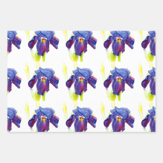 Feuille De Papier Cadeau Enveloppe Cadeau Iris Violet
