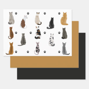 Feuille De Papier Cadeau Enveloppement cadeau de chats et de pattes mignons