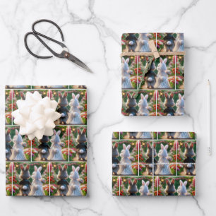 Feuille De Papier Cadeau Épouse de lapin et salle