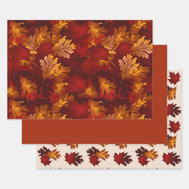 Feuille De Papier Cadeau Érable et chêne Feuillage d'automne Ensemble de co (Lot)