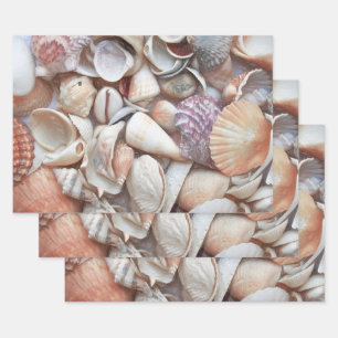 Feuille De Papier Cadeau Esquisse de coquillages Ocean Nautical Beach Déco