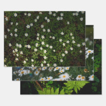 Ethereal Forest Flora, set of 3 art photos