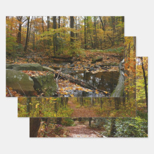 Feuille De Papier Cadeau Fall Creek avec réflexion à Laurel Hill Park