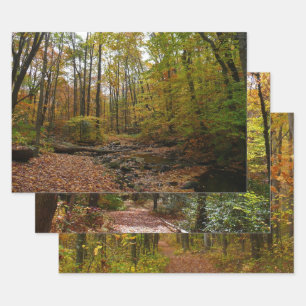 Feuille De Papier Cadeau Fall Creek dans le parc national Laurel Hill State