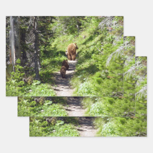 Feuille De Papier Cadeau Famille d'ours Brown