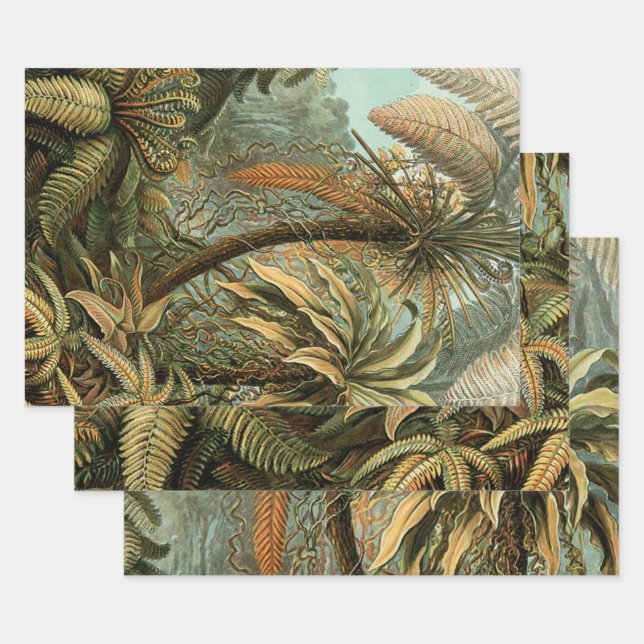 Feuille De Papier Cadeau Ferns Palm Tree Antiquité Botanique Ferns Art (Lot)