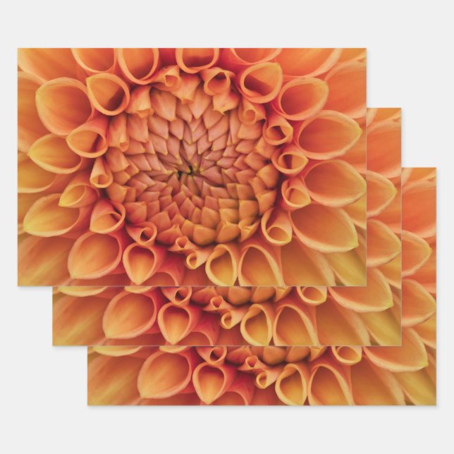 Feuille De Papier Cadeau Fleur Centre Orange Dahlia (Lot)