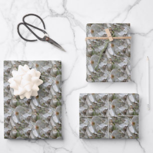 Feuille De Papier Cadeau Fleur de Magnolia Blanche Fleur Nature  