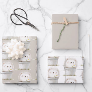 Feuille De Papier Cadeau Fleur de marguerite de hérisson de crème de cacao 