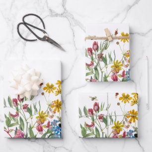 Feuille De Papier Cadeau Fleur sauvage d'aquarelle Insectes Floral Spring G