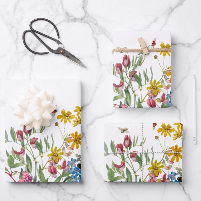 Feuille De Papier Cadeau Fleur sauvage d'aquarelle Insectes Floral Spring G (Recto)