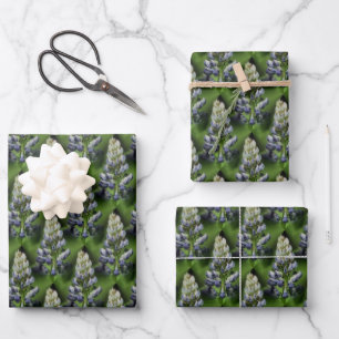 Feuille De Papier Cadeau Fleurs de Lupine Bleu Sauvage Motif de la nature 
