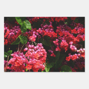 Feuille De Papier Cadeau Fleurs de pagode colorées rouge et rose