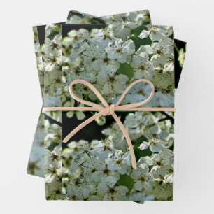 Feuille De Papier Cadeau Fleurs de poires en fleurs
