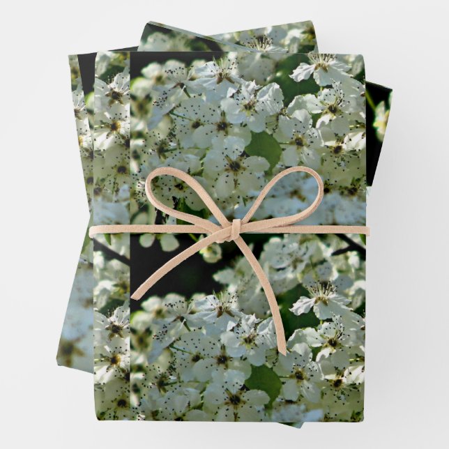 Feuille De Papier Cadeau Fleurs de poires en fleurs (En situation)