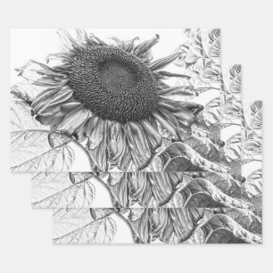 Feuille De Papier Cadeau Fleurs de soleil géantes Vintage Art noir et blanc