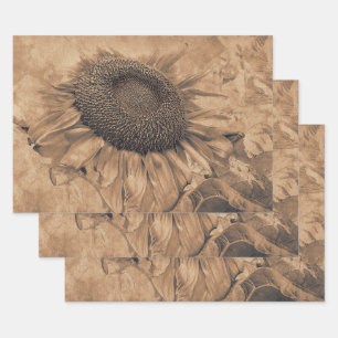 Feuille De Papier Cadeau Fleurs de soleil géantes Vintage Sepia Brown Décou