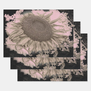 Feuille De Papier Cadeau Fleurs de soleil géantes Vintage Sepia rose noir V