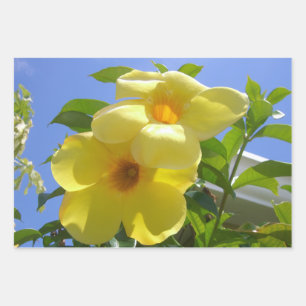 Feuille De Papier Cadeau Fleurs de trompette dorées I