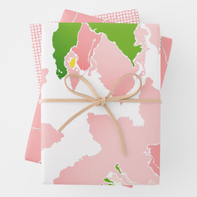 Feuille De Papier Cadeau Fleurs en rose et vert AKA Sorority (En situation)