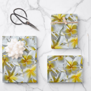 Feuille De Papier Cadeau Fleurs Frangipaniennes Jaunes Et Blanches,