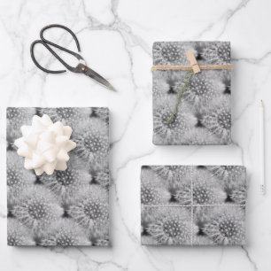 Feuille De Papier Cadeau Fluffy White Dandelions Motif de la nature 