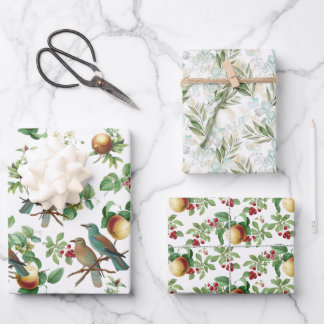 Feuille De Papier Cadeau Fruits lavés, baies, oiseaux et feuillage assortés