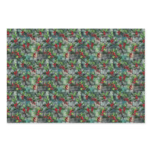 Graffiti Holly de Noël