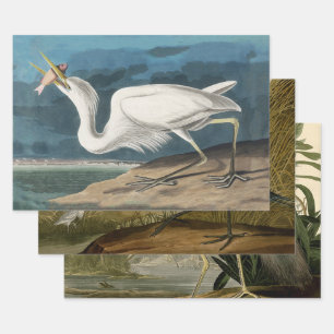 Feuille De Papier Cadeau Grande Peinture de la faune d'Audubon Heron blanc