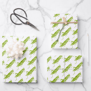 Feuille De Papier Cadeau Grasshoppers