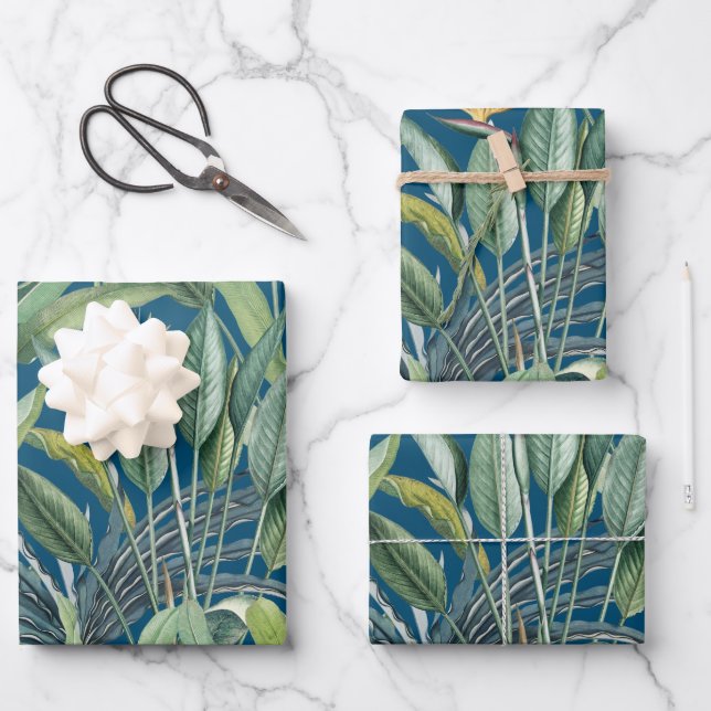 Feuille De Papier Cadeau Green Tropical Jungle Banana Tree Strelitzia (Recto)