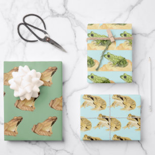 Feuille De Papier Cadeau Grenouilles