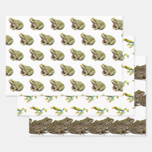 Feuille De Papier Cadeau Grenouilles