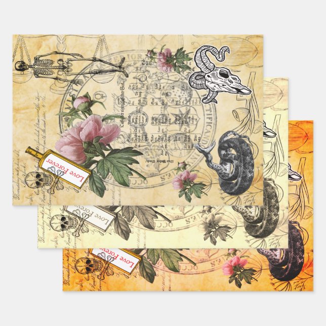 Feuille De Papier Cadeau Halloween Alchimie Pink Peony Ephemera squelette (Lot)