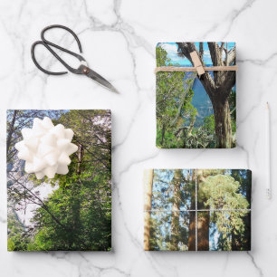 Feuille De Papier Cadeau Haut Arbres Découpage Décoratif Triade de haute qu