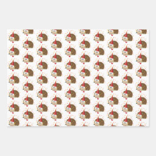 Feuille De Papier Cadeau Hedgehog