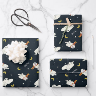 Feuille De Papier Cadeau Hedwig Motif Clair de Lune Nocturne