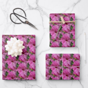 Feuille De Papier Cadeau Hibiscus rose nature