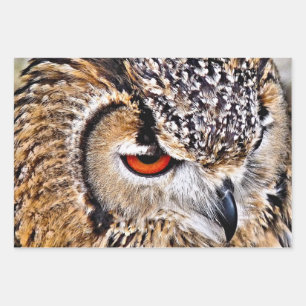 FEUILLE DE PAPIER CADEAU HIBOU